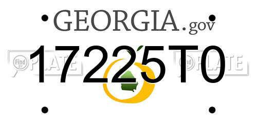 17225T0 Georgia License Plate
