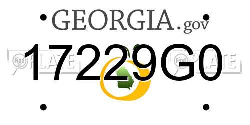 17229G0 Georgia License Plate