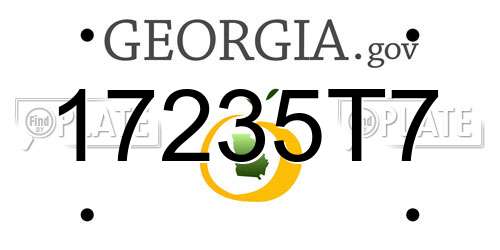 17235T7 Georgia License Plate