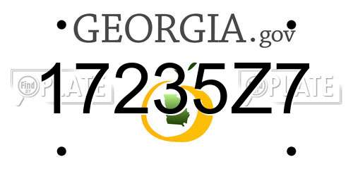 17235Z7 Georgia License Plate