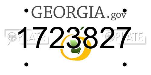1723827 Georgia License Plate