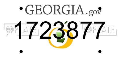 1723877 Georgia License Plate