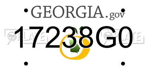 17238G0 Georgia License Plate