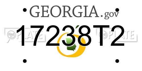 17238T2 Georgia License Plate
