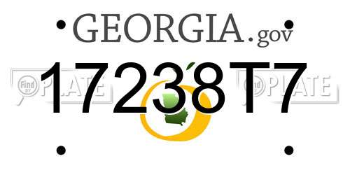 17238T7 Georgia License Plate