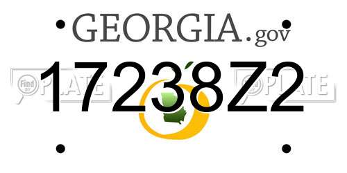 17238Z2 Georgia License Plate