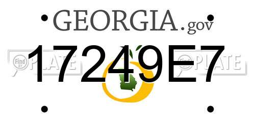 17249E7 Georgia License Plate
