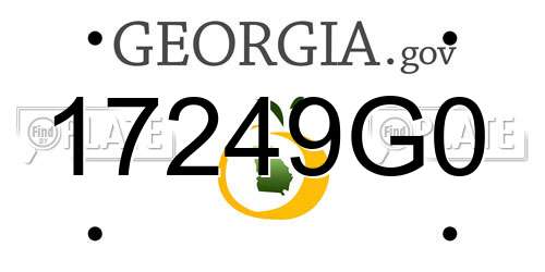 17249G0 Georgia License Plate