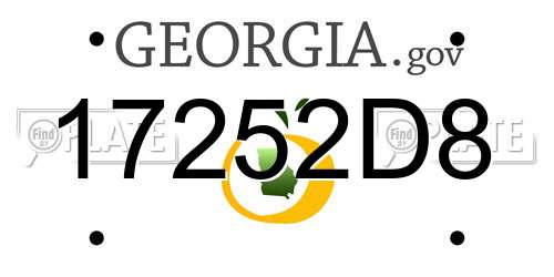 17252D8 Georgia License Plate