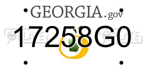 17258G0 Georgia License Plate