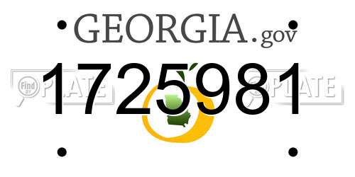 1725981 Georgia License Plate