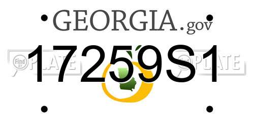 17259S1 Georgia License Plate