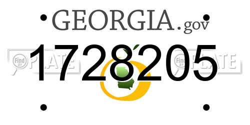 1728205 Georgia License Plate