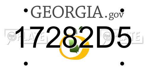 17282D5 Georgia License Plate