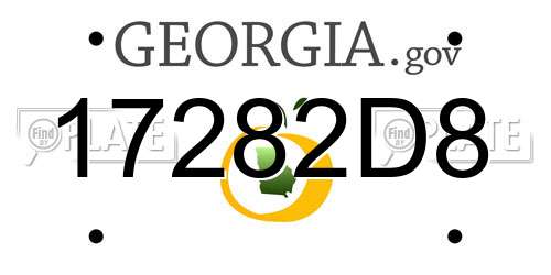 17282D8 Georgia License Plate