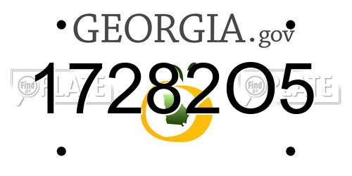 17282O5 Georgia License Plate