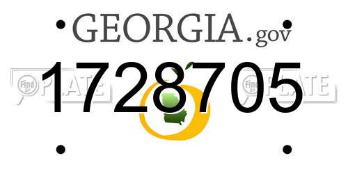 1728705 Georgia License Plate