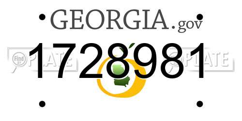 1728981 Georgia License Plate