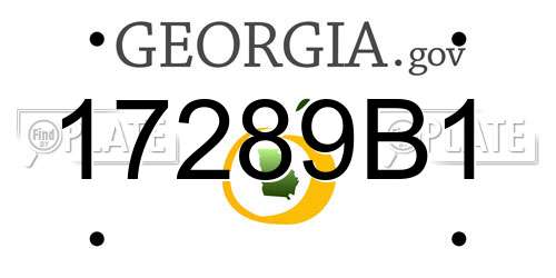 17289B1 Georgia License Plate