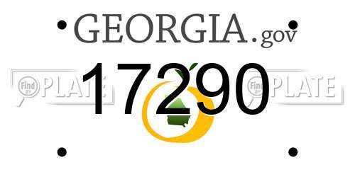 17290 Georgia License Plate