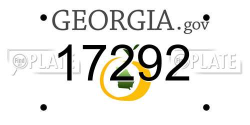 17292 Georgia License Plate