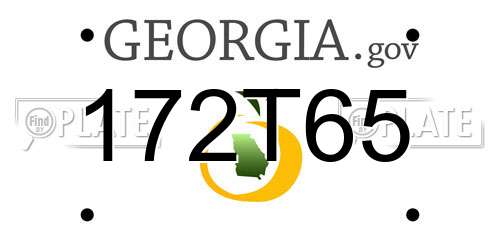 172T65 Georgia License Plate