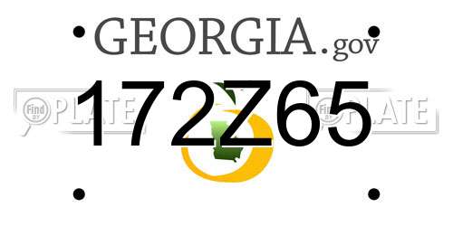 172Z65 Georgia License Plate