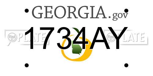 1734AY Georgia License Plate