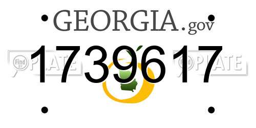 1739617 Georgia License Plate
