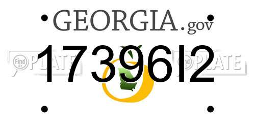 17396I2 Georgia License Plate