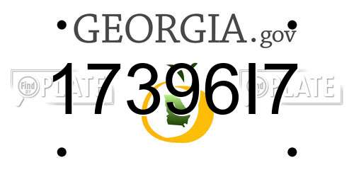 17396I7 Georgia License Plate