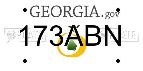 173ABN Georgia License Plate