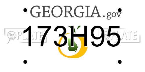 173H95 Georgia License Plate
