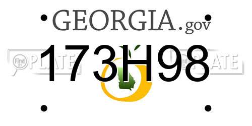 173H98 Georgia License Plate