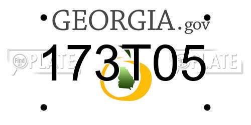 173T05 Georgia License Plate