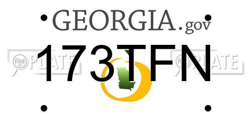 173TFN Georgia License Plate