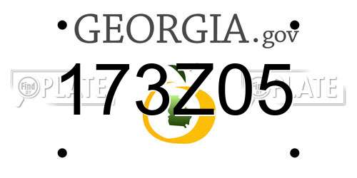 173Z05 Georgia License Plate
