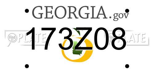 173Z08 Georgia License Plate
