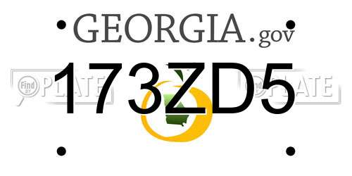 173ZD5 Georgia License Plate