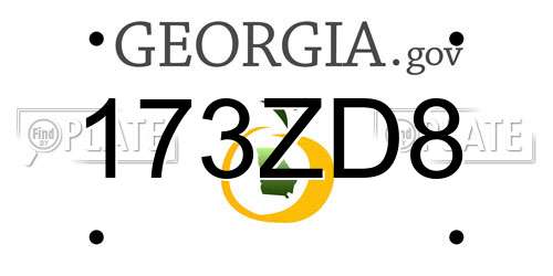 173ZD8 Georgia License Plate