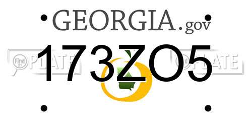 173ZO5 Georgia License Plate
