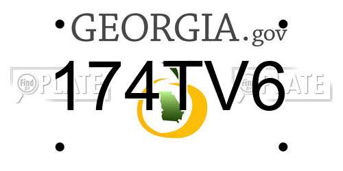 174TV6 Georgia License Plate
