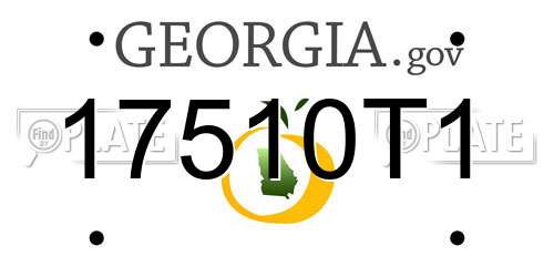 17510T1 Georgia License Plate