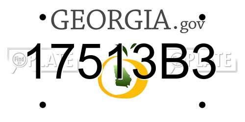 17513B3 Georgia License Plate