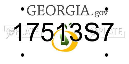 17513S7 Georgia License Plate