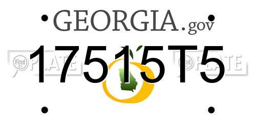 17515T5 Georgia License Plate
