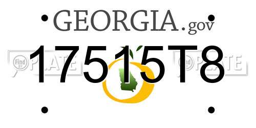 17515T8 Georgia License Plate