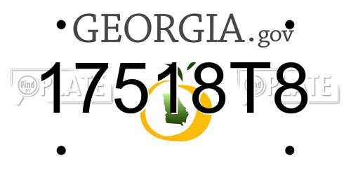 17518T8 Georgia License Plate