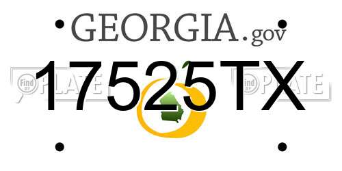 17525TX Georgia License Plate