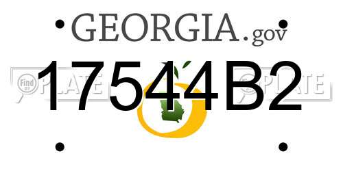 17544B2 Georgia License Plate